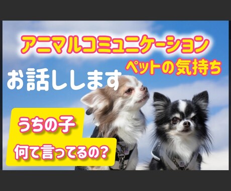 アニマルコミュニケーション動物さんとお話しします ペットの気持ちを聞いてみませんか？ イメージ1