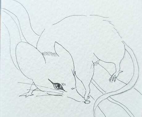 開運になる動物イラストを描きます ☆お守り代わりになるあなただけの専用イラスト☆ イメージ2
