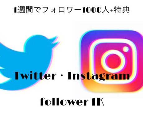 1週間でsnsフォロワー1000人増やします 商品を買ってもらいやすいアカウント作りに。【豪華特典付き】 イメージ1