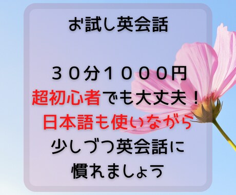 超初心者向け英会話！日本語使いながら英会話します 文法とか全然分かんなくても大丈夫！日本語使って優しくサポート イメージ1