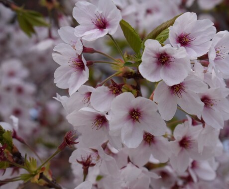 どんな悩みも相談うけます どんな悩みでも聞きます。もちろん愚痴も聞きます(^^) イメージ1