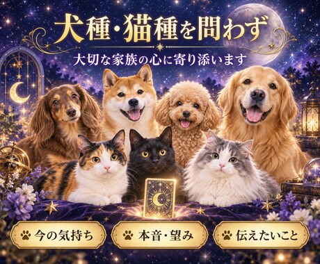 ペットの気持ち・本音を霊視タロットで丁寧に占います 犬猫限定｜今の本音・望み・飼い主様への想いを丁寧にお届け イメージ2