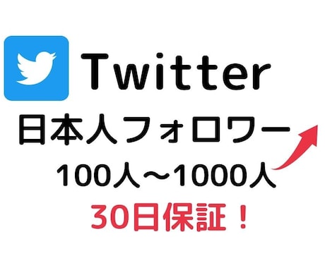 Twitter日本人フォロー増えるように宣伝します Twitter/日本人/フォロワー/１００人〜/保証あり イメージ1