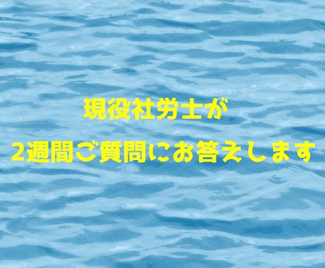 現役社労士が、事業主様のご質問に2週間対応します 保険関係や身近な労働問題に関しご質問ください イメージ1