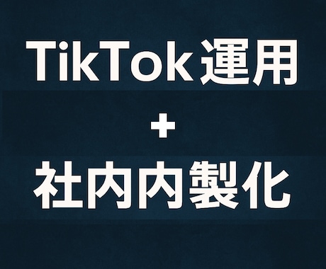 TikTok運用支援コンサル内製化＆戦略設計します 「投稿代行」よりも、「売上につながる仕組み」を残しませんか？ イメージ1
