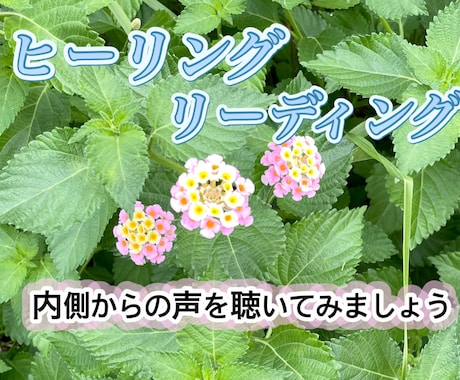 ヒーリング♡リーディングで癒します 感情を大切に、本当の自分に出会う時間 イメージ1