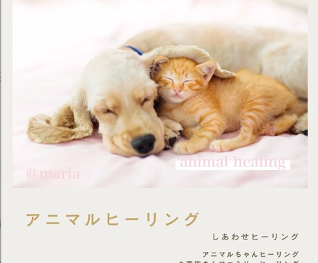 ペット(犬猫)アニマルヒーリングで体調を整えます オーダーメイドヒーリングで穏やかで元気な日常をサポートします イメージ1