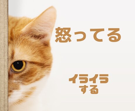 このイライラ言わずにはおさまらない。その話聴きます 何で自分ばかりこんな思いするんだ。何でわかってくれない。 イメージ2