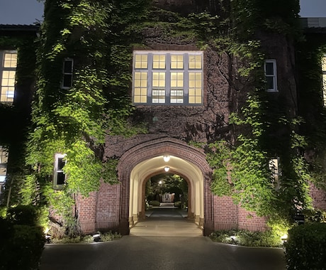 初心者から国立大学レベルまで、小論文をお教えます 日本語からアイデア創造までオンラインで徹底的に小論文を指導！ イメージ1