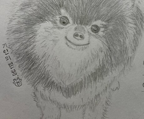 大好きな人や動物を鉛筆画に描きおこします 世界にたったひとつの暖かみのある画に仕上げます！ イメージ2