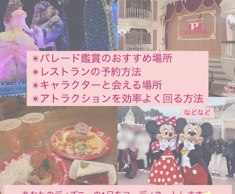 ディズニーを全力で楽しむコツを教えます サプライズや久しぶりのディズニーを、最高の1日にします！ イメージ2