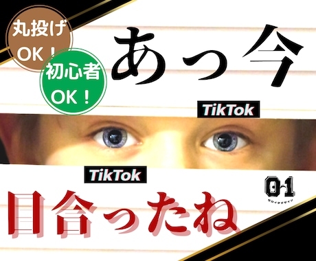 1つ3000円！TikTok用広告動画4つ作ります 100万再生数達成マーケターによる最強コスパの運用サポート！ イメージ1