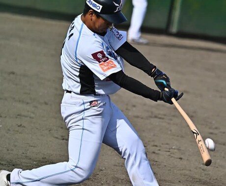 打撃、投球、守備のワンポイント動画指導をします 元プロ野球選手がワンポイント指導します。 イメージ1