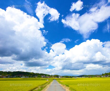あなたが前向きになる言葉を伝えます 今日からあなたもみんなの太陽に☀️ イメージ1