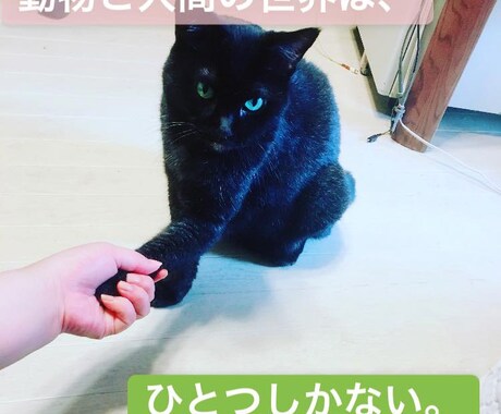 あなたのわかりづらい文章をわかりやすくします バカにもわかる文章、を私に書かせてください イメージ1