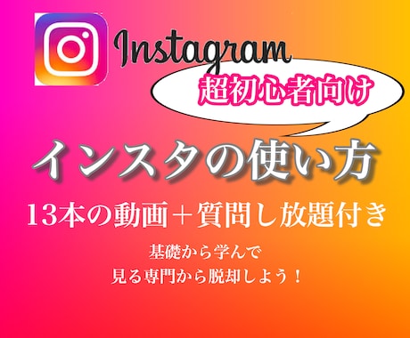 40代以降のインスタ初心者向け！使い方教えます 13本動画／毎日質問し放題の効率的な1ヶ月をサポートします イメージ1