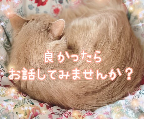 どんなお悩みにも優しく寄り添いタロットで占います 愚痴 相談 モヤモヤ 悩み…良かったら聞かせてください イメージ1