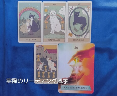 ペットの気持ちリーディングします 言葉を話せない大切なペットの気持ちをカードで読み解きます イメージ2