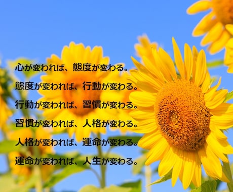 3日間あなたの気持ち・お悩みじっくりお聴きします 解決に向けてすぐできる小さな一歩を一緒に見つけましょう！ イメージ1