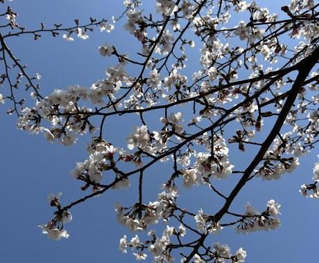 歳の差恋愛、結婚のモヤモヤの相談します 歳の差パートナーのモヤモヤはお任せください イメージ2
