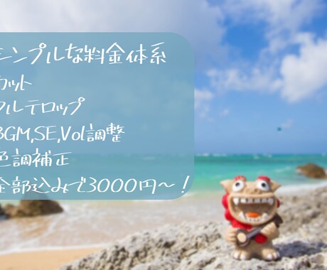 動画編集(カット編集、テロップ挿入等)承ります シンプルな価格体系！丁寧、即納、業界最安値がモットーです！ イメージ2