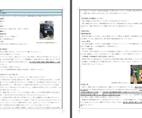 軽貨物運送業★持続化補助金採択書類をお譲りします 採択済みの事業計画書を【テンプレート】としても利用できます！ イメージ2