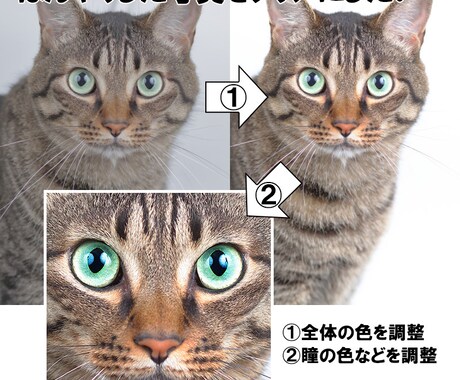 記念写真・家族写真・商品写真を調整・加工します キレイな写真を残したい、キレイな写真で出品したい人におススメ イメージ2
