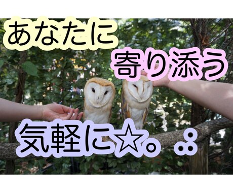 3日トークルームでお話します 気軽にやりとりしませんか？⸜( ´ ꒳ ` )⸝♡ イメージ1