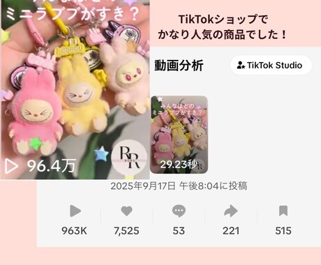 TikTokでPRします 貴社の商品宣伝のお手伝いをいたします！ イメージ2