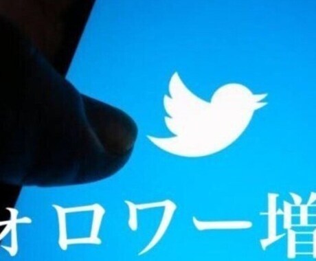 Xの成人男性&女性フォロワー増加ます X(Twitter)成人男性&女性アカウントを1か月拡散 イメージ1
