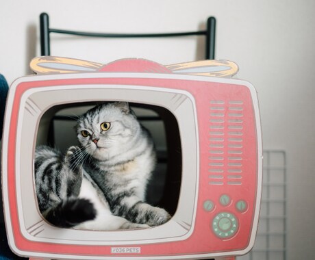 テレビマンへのプレゼン練習できます あなたのプレスリリースでプレゼン練習してみませんか？ イメージ1