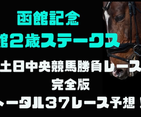 完全版中央競馬馬券術で挑む３７レース予想します 函館記念や函館２歳ステークスなど３７レース予想！ イメージ1