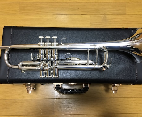 楽器の個人・パートのレッスンします 上手くなりたい人連絡ください。 イメージ1