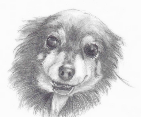 お写真をもとに鉛筆画をお描きします 大事なペットの愛すべきお顔を温かみある絵に イメージ2