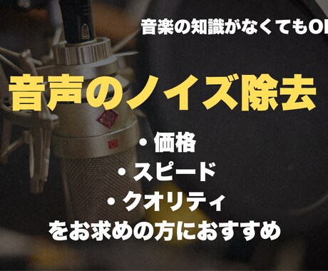 音声のノイズ取ります 用途に合わせた仕上がりを心がけています！ イメージ1