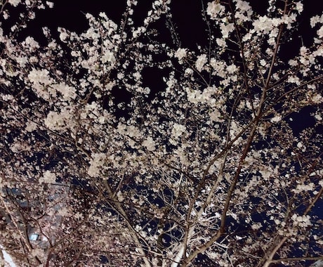 お悩みを解決してあなたを笑顔にします！ます 恋愛・仕事お悩みのとを話してみませんか？ イメージ1