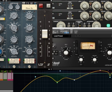 プロクオリティのパラMIX承ります イメージ1