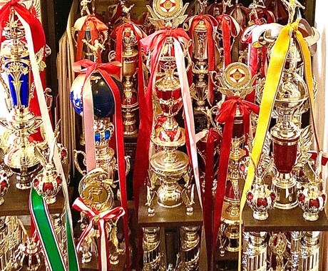 フルコンタクト空手/型のコツを教えます 本気で頑張っている少年部限定です。選手と選手の親御様向け イメージ1