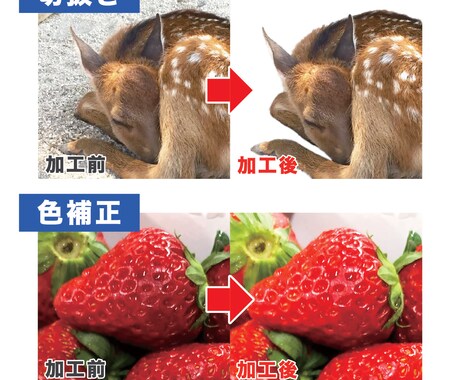 写真加工、背景切り抜き承ります 大変な写真加工のお手伝いをさせてください！ イメージ2