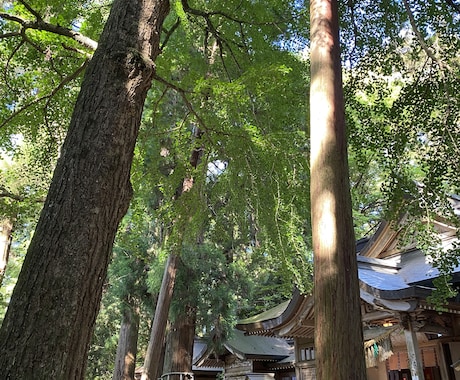あなたを全肯定します 死にかけたことあるからこそあなたの大事さ一緒に探します イメージ2