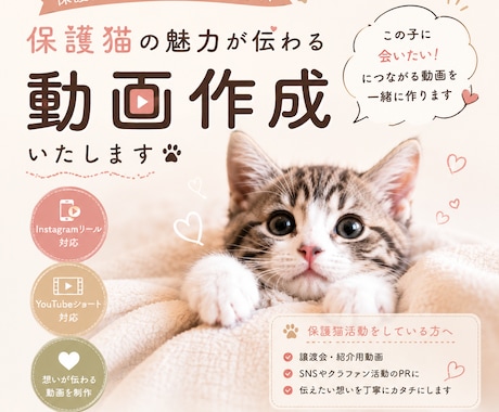 保護猫ちゃんの里親募集動画をお作りします その子の魅力と依頼主さんの想いを動画につめこみます イメージ1