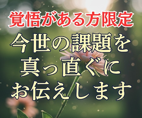 今世の課題を覚悟をもって真摯にお伝えします 耳が痛くても真実を。甘い言葉や慰めが不要な方専用 イメージ1