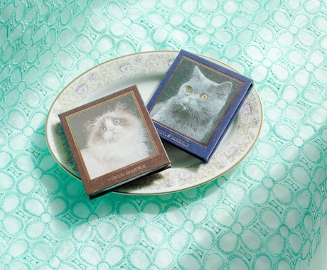 雰囲気のある商品写真を撮影します ２カットレタッチ込み・オプションでバナーまでまるっとお任せ！ イメージ2