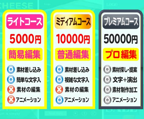 クオリティ高っ!? 縦動画を作ります 縦動画の普及に乗り遅れるな！今すぐご準備を！ イメージ2