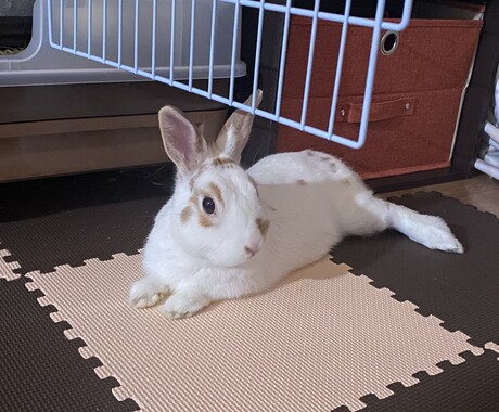 愚痴聞きます 日々のストレス発散などに使ってください。 イメージ1