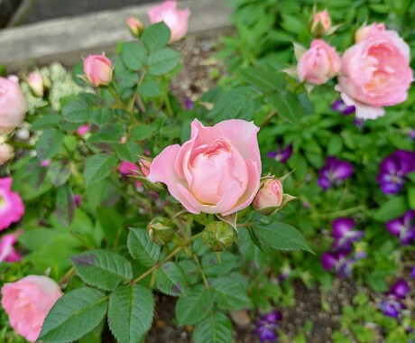9往復メッセージで☆カウンセリングします 生活、健康、人間関係、仕事などのお悩み親身にお聴きします☆ イメージ2