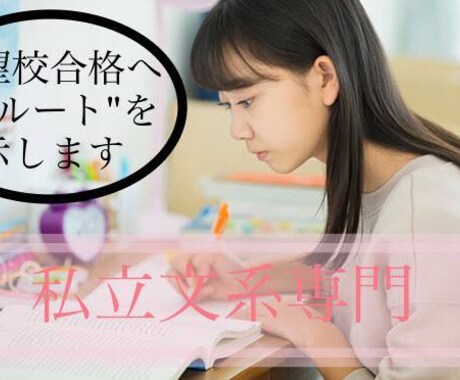 文系私立専門]志望校合格への"ルート"を教えます 参考書、モチベなど、、悩みを解決し、志望校合格を助けます！ イメージ2