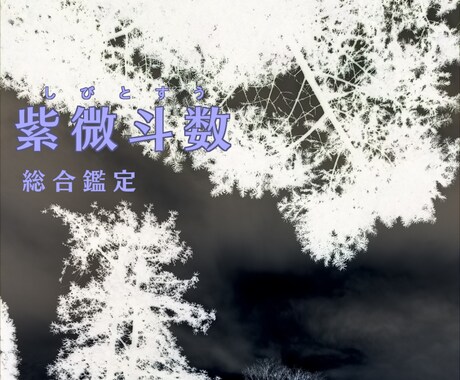 紫微斗数で総合運を鑑定します あなたらしさを探してみましょう イメージ1