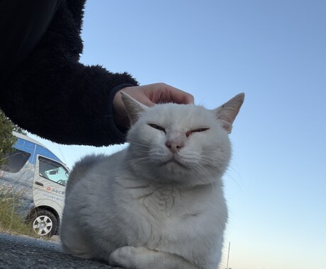 ゆる誠実な、話し相手になります 堅苦しいのは嫌、電話も苦手。。な方へ♡ イメージ2