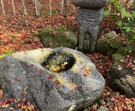 11月　表千家流炉のポイントアドバイスいたします 炉点前の基本をしっかり身につけましょう イメージ1